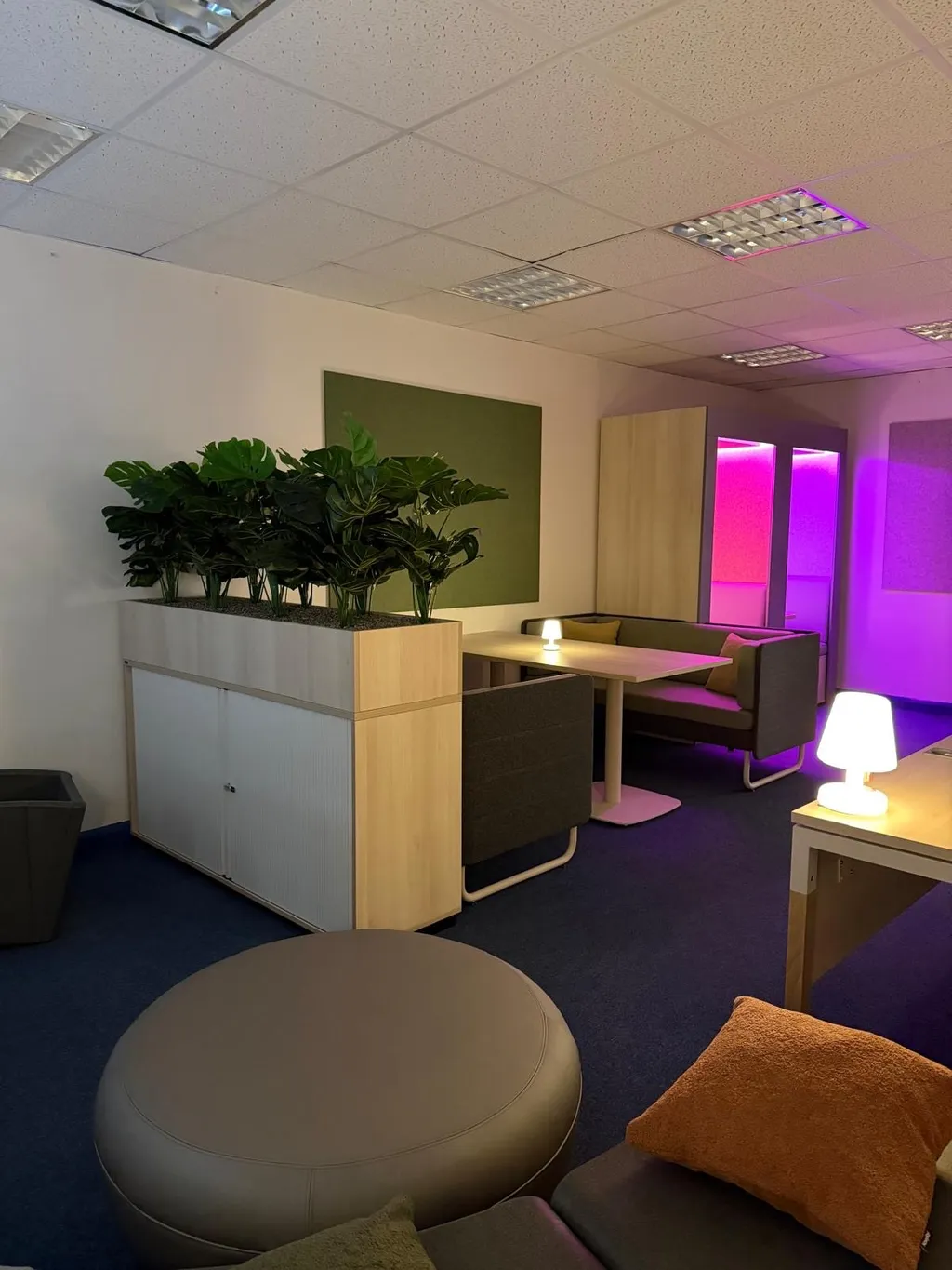 The Nurture Hub, February 2026